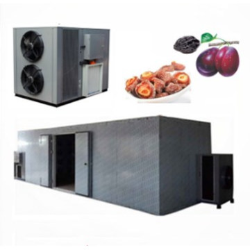 Food dehydrator commercial use apricot fruit heat pump drying machine